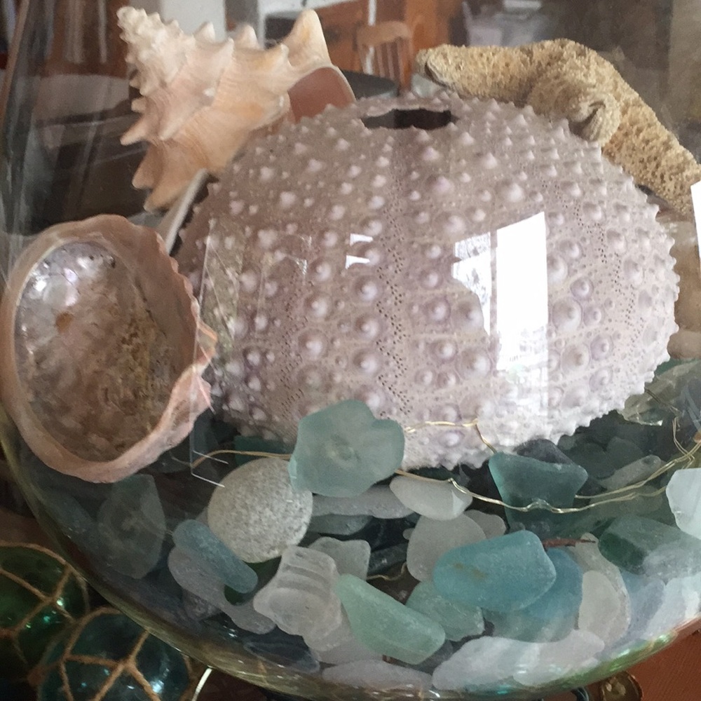 Meet your Posher, Ann